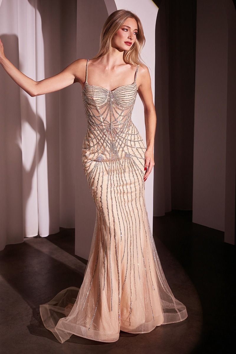 Ladivine CD766 Fully Embellished Sparkle Fitted Evening Gown – Mia Bella  Couture