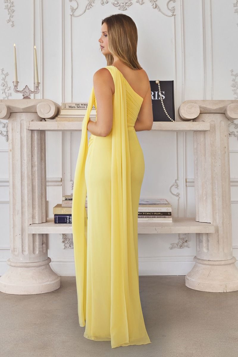 elegant chiffon evening dresses Long Sleeves V- Neckline Chiffon Evening Dress CD0192 XL / Champagne (Wheat)