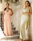 The Candice Divine Collection