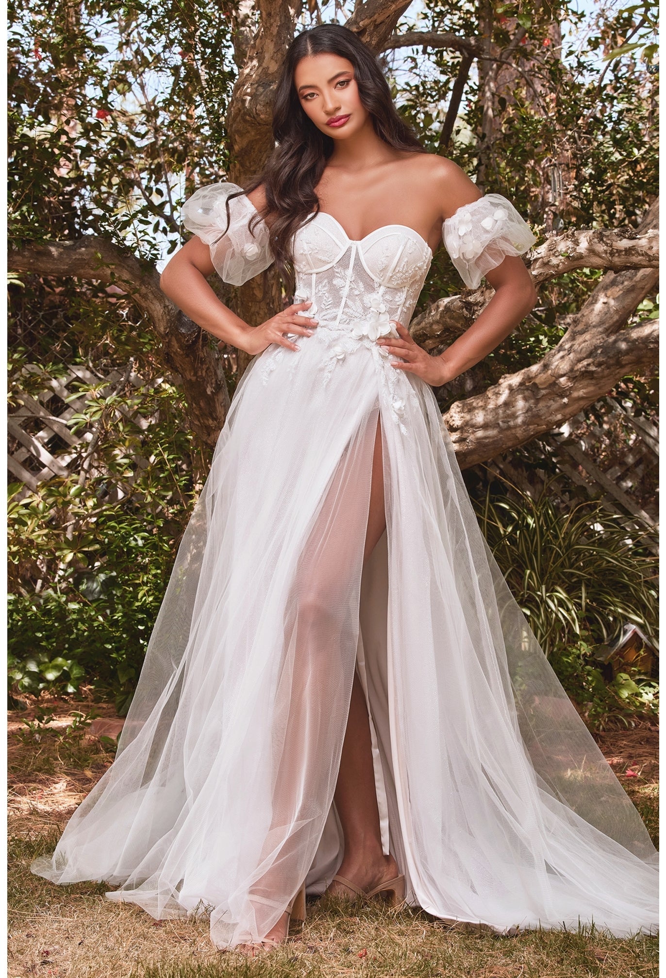 Ladivine CB080 bustier corset prom dress Mia Bella Couture Ladivine CB080 bustier corset prom dress Mia Bella Couture