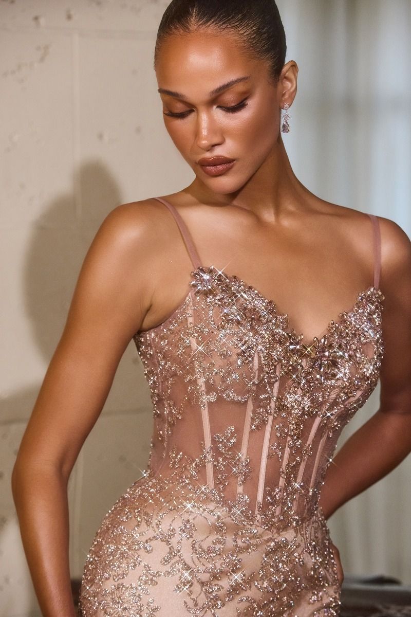 Ladivine J889 Beaded Embroidered Tulle Overlay Sweetheart Corset